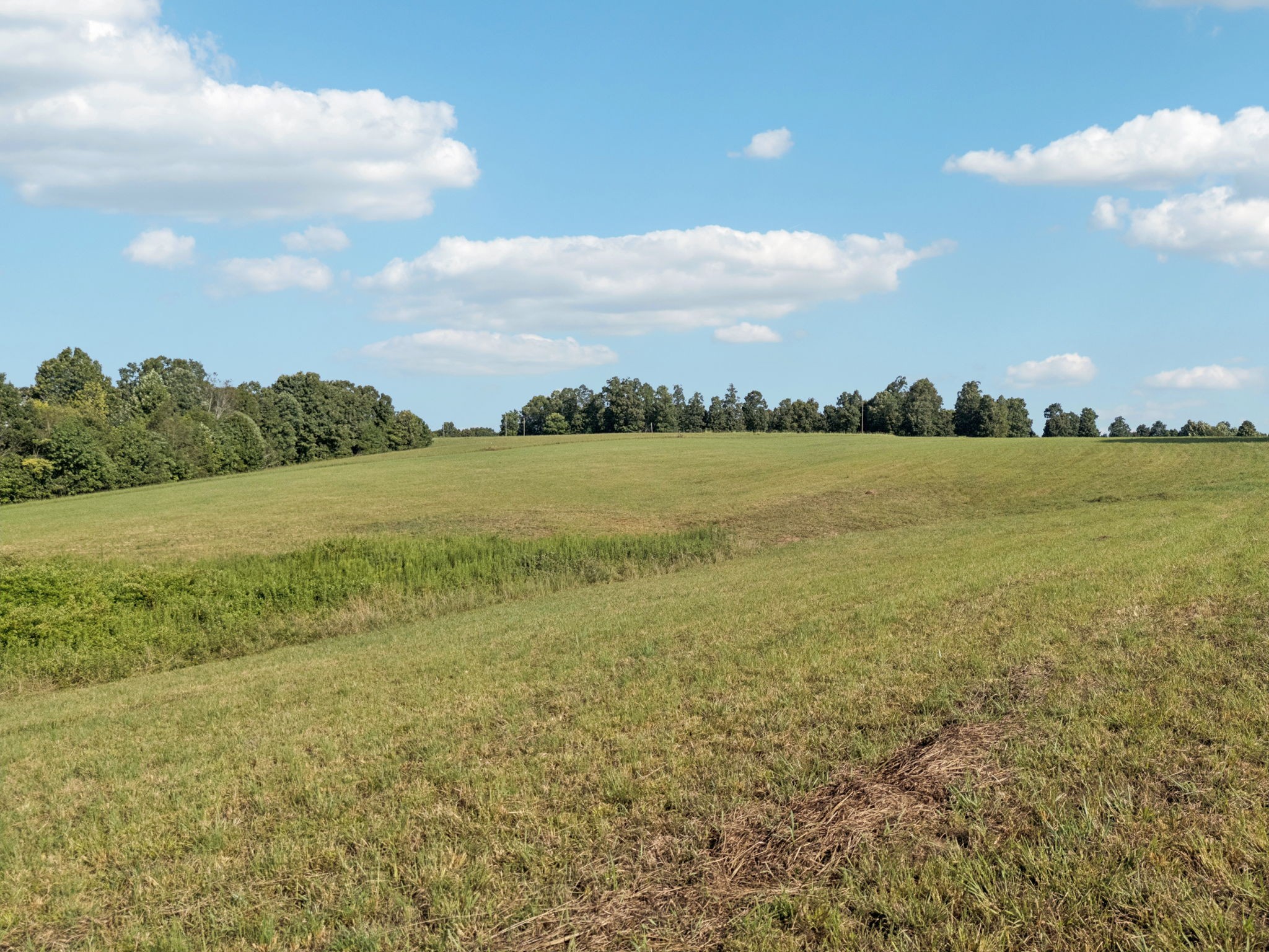 0 West Lick Creek Road Primm Springs, TN 38476 - Photo 46 of 59 a view of an ocean and beach