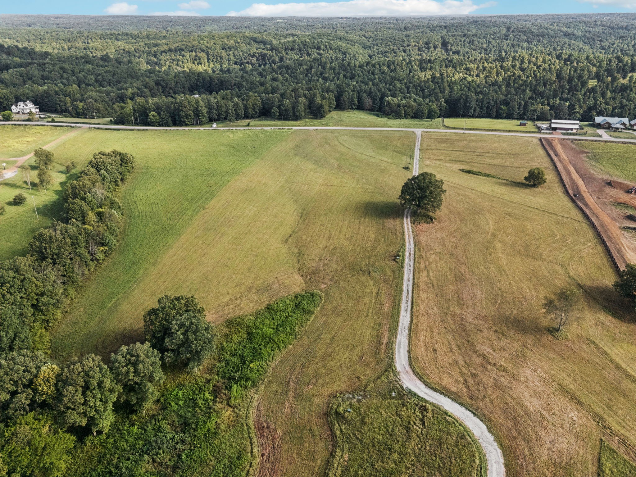 0 West Lick Creek Road Primm Springs, TN 38476 - Photo 8 of 59