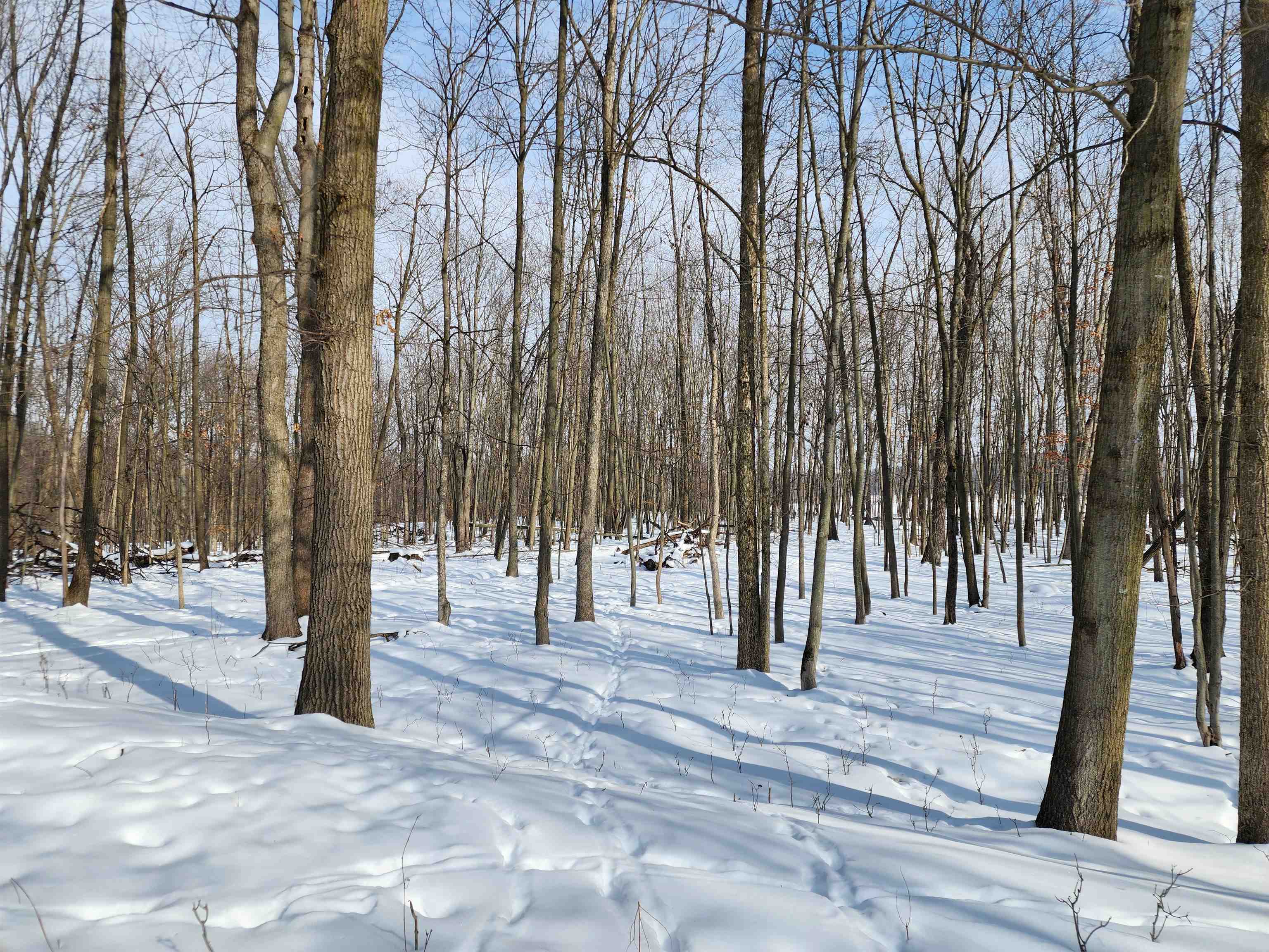 33-acres South Peoples Road Fenwick, MI 48834 - Photo 15 of 20