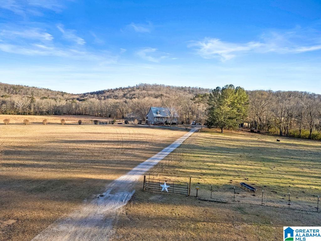 200 Carter Drive Springville, AL 35146 - Photo 10 of 66