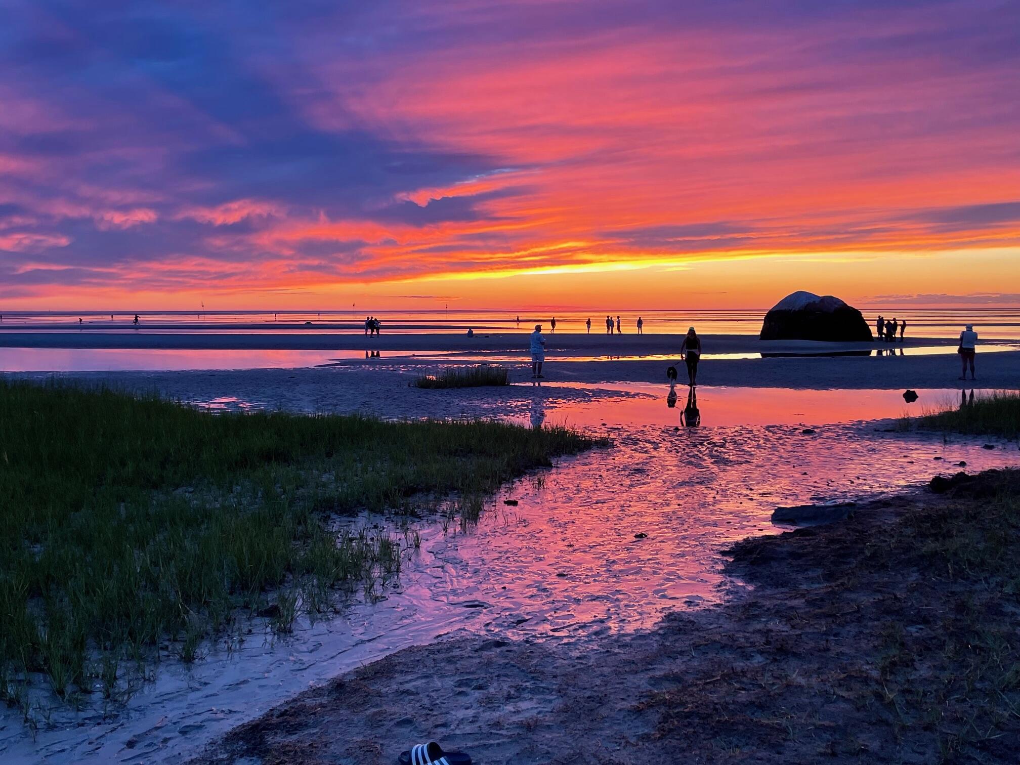 339 Dyer Prince Road Eastham, MA 02642 - Photo 4 of 4 IMG_8092