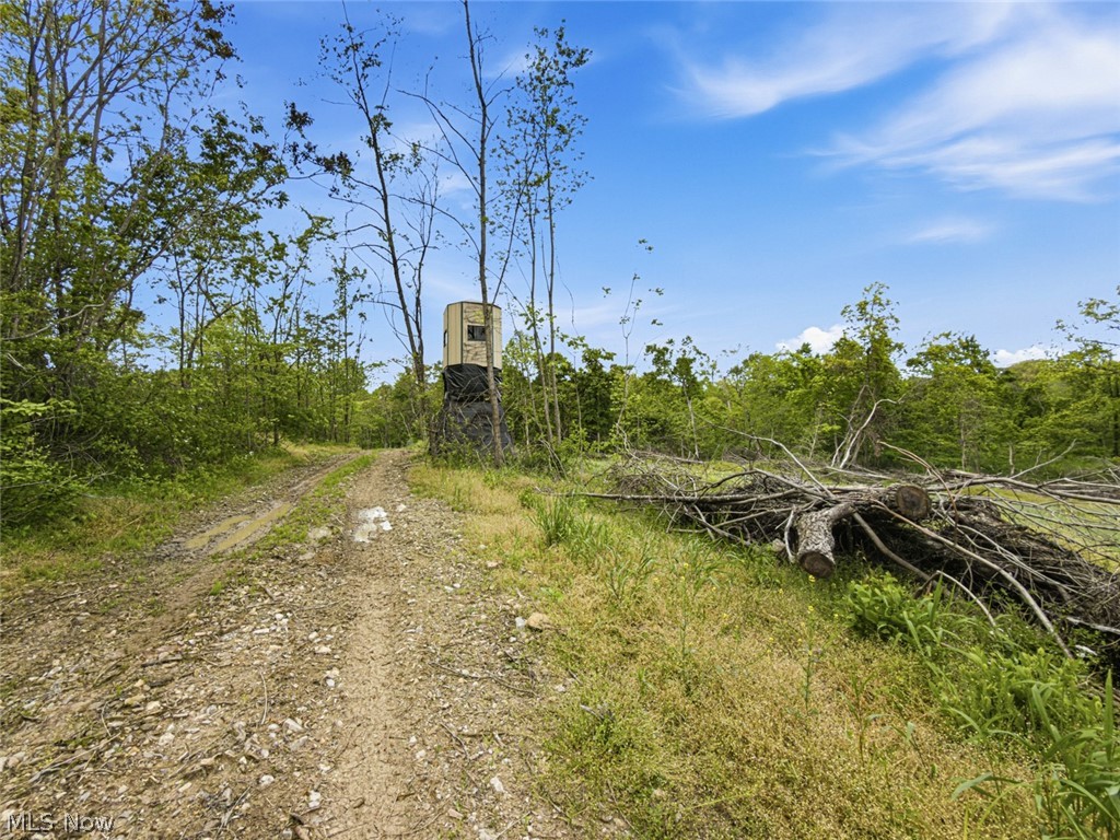 95-acres Newlon Road Malta, OH 43758 - Photo 6 of 18