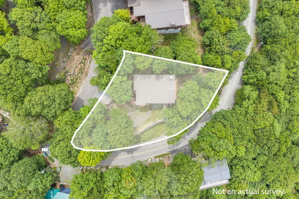 140 Lower Grouse Ridge Road Beech Mountain, NC 28604 - Photo 41 of 50
