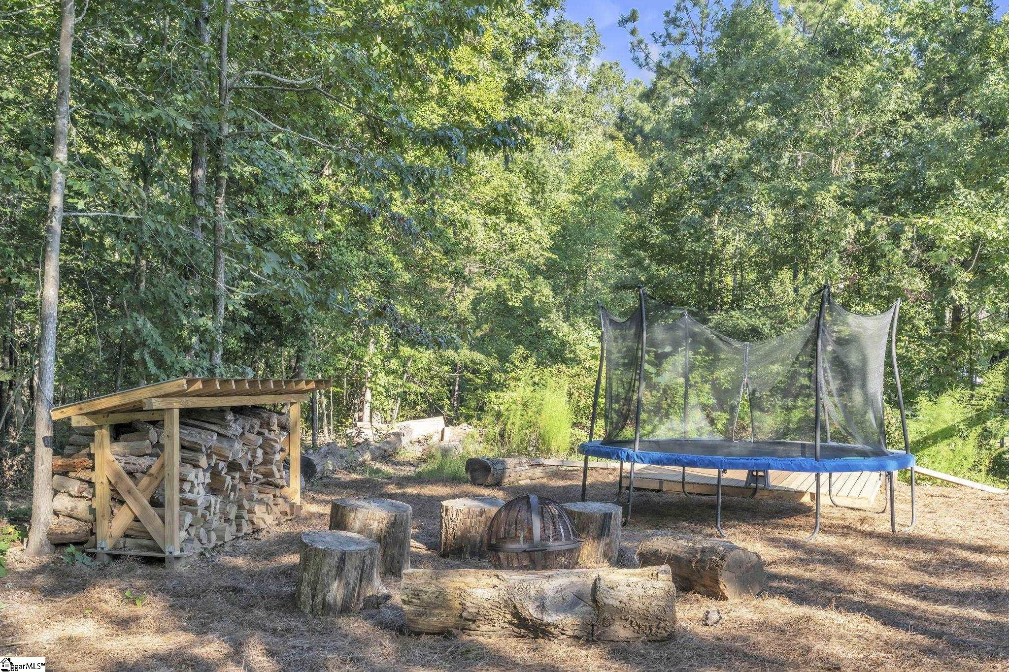 105 Cherry Plum Way Pelzer, SC 29669 - Photo 43 of 50