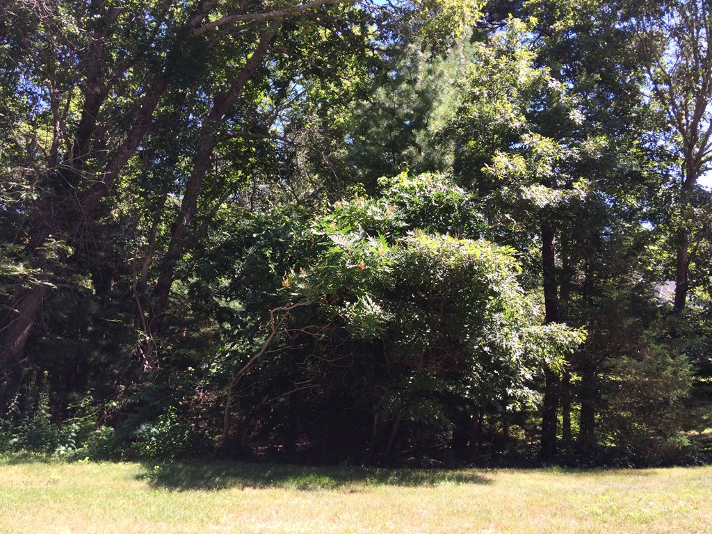 28 Rivers Edge Road Falmouth, MA 02536 - Photo 13 of 13 Gallery Image 13