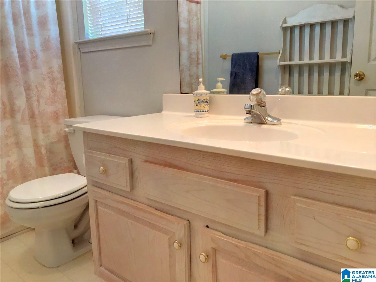 108 Wild Flower Trail Alabaster, AL 35007 - Photo 21 of 40