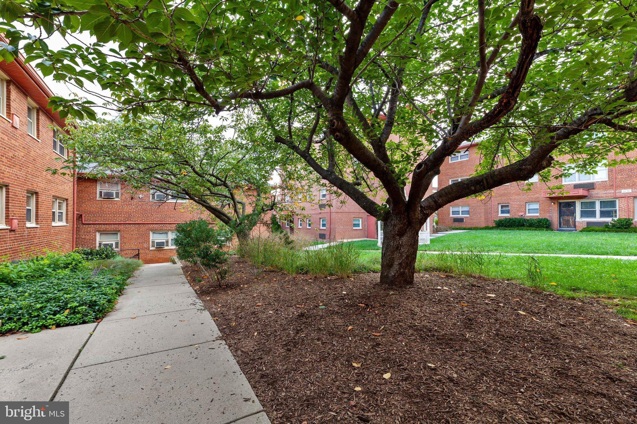 4635 20th Road North, Unit A Arlington, VA 22207 - Photo 22 of 31