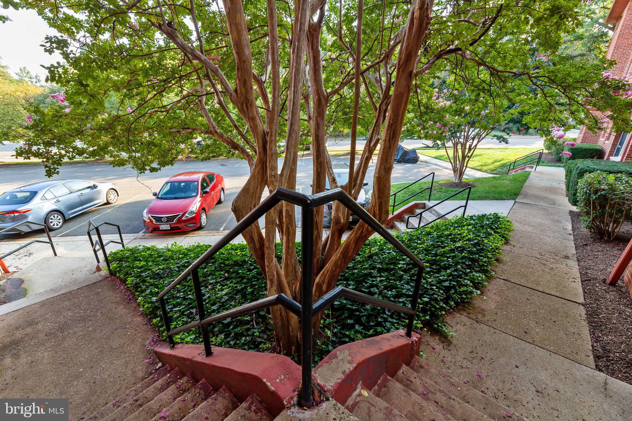 4635 20th Road North, Unit A Arlington, VA 22207 - Photo 23 of 31