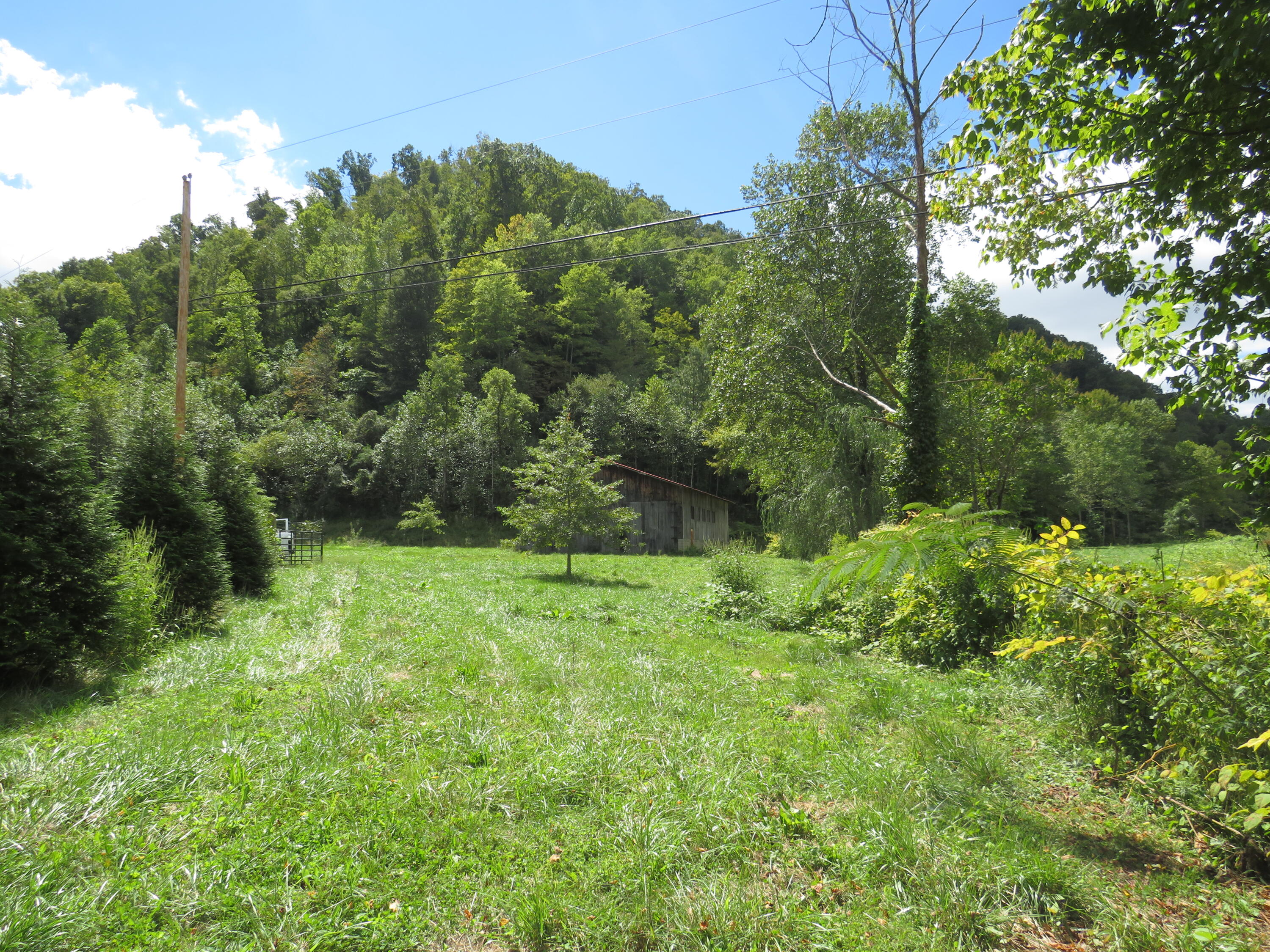 108 Lost Fork Road Manchester, KY 40962 - Photo 57 of 111 IMG_4461 - Copy