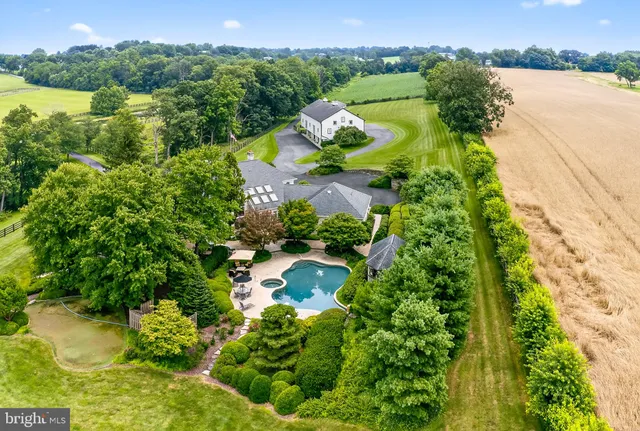 a living room with furniture a fireplace and a floor to ceiling window