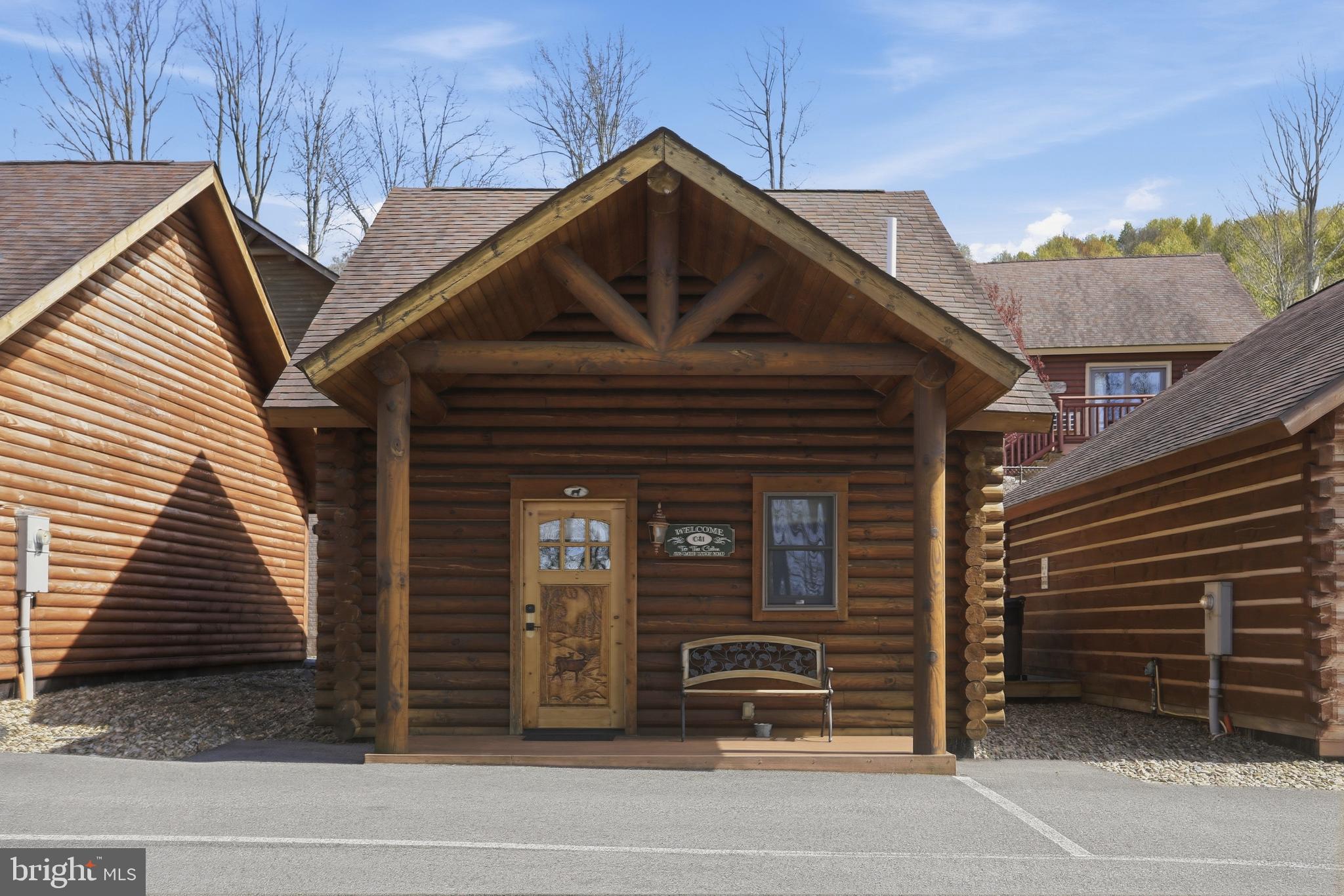 305 Cabin Lodge Road McHenry, MD 21541 - Photo 13 of 13