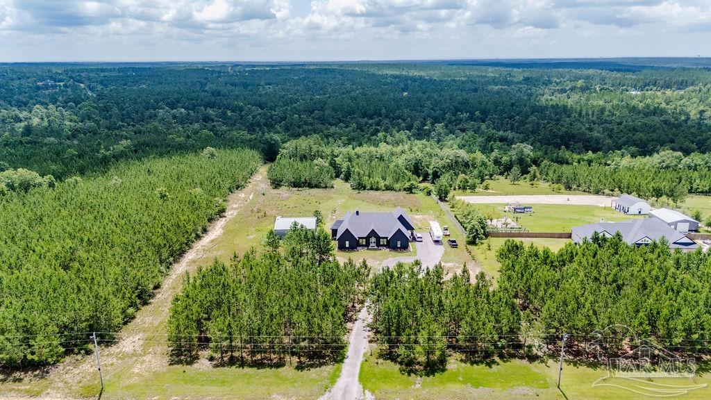 7664 Buffalo Ridge Road Pace, FL 32571 - Photo 46 of 50