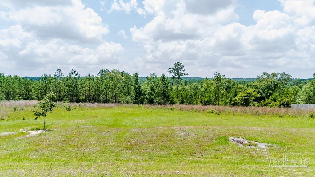 7664 Buffalo Ridge Road Pace, FL 32571 - Photo 47 of 55