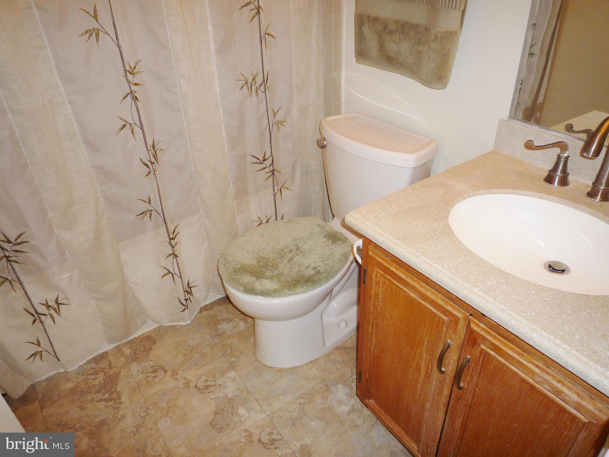 6404 View Point Court Frederick, MD 21703 - Photo 13 of 22 Bath