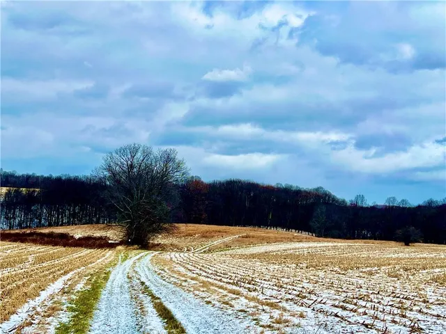 $55,000 | 0 Laurel Road, Shelocta, PA 15774