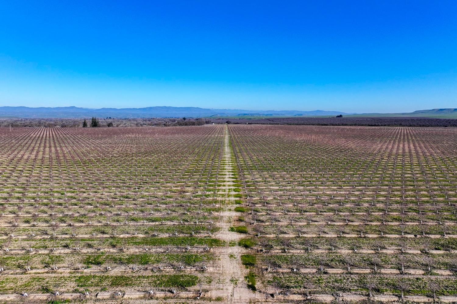 15116 Allen Road Snelling, CA 95369 - Photo 2 of 12 a view of ocean view