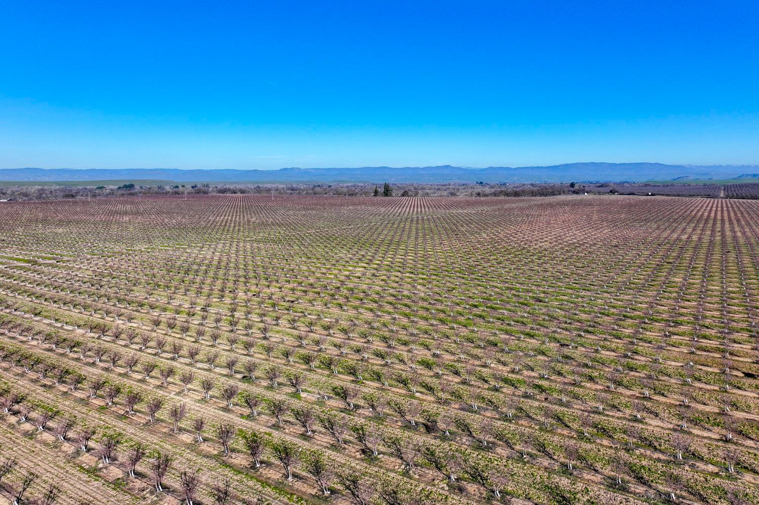15116 Allen Road Snelling, CA 95369 - Photo 4 of 12 a view of a lake view and mountain view
