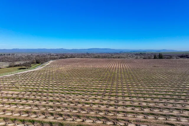 a view of city view and ocean view