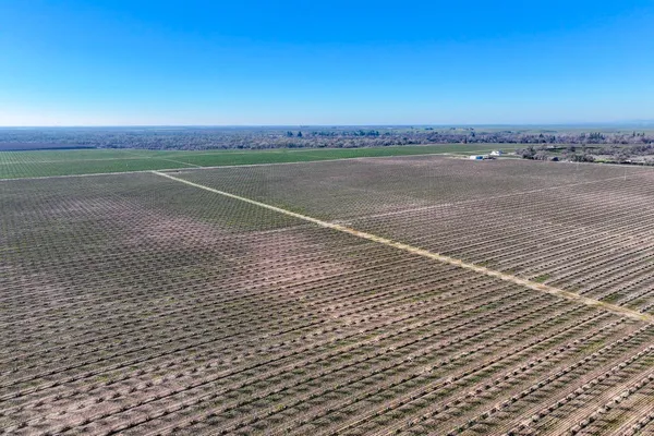 a view of an ocean and beach