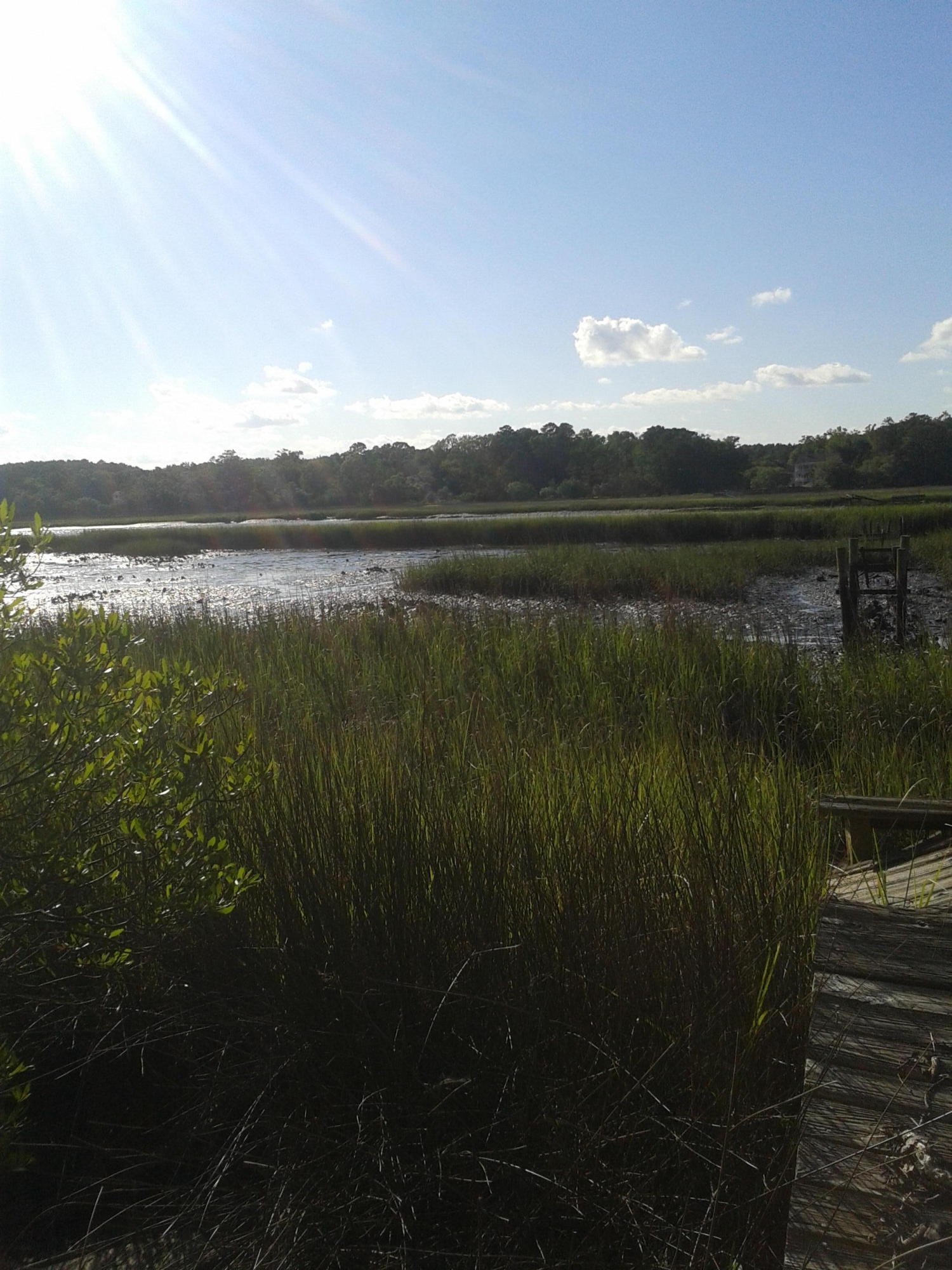 3108 Bohicket Road Johns Island, SC 29455 - Photo 12 of 13 Additional 3 acres of marsh