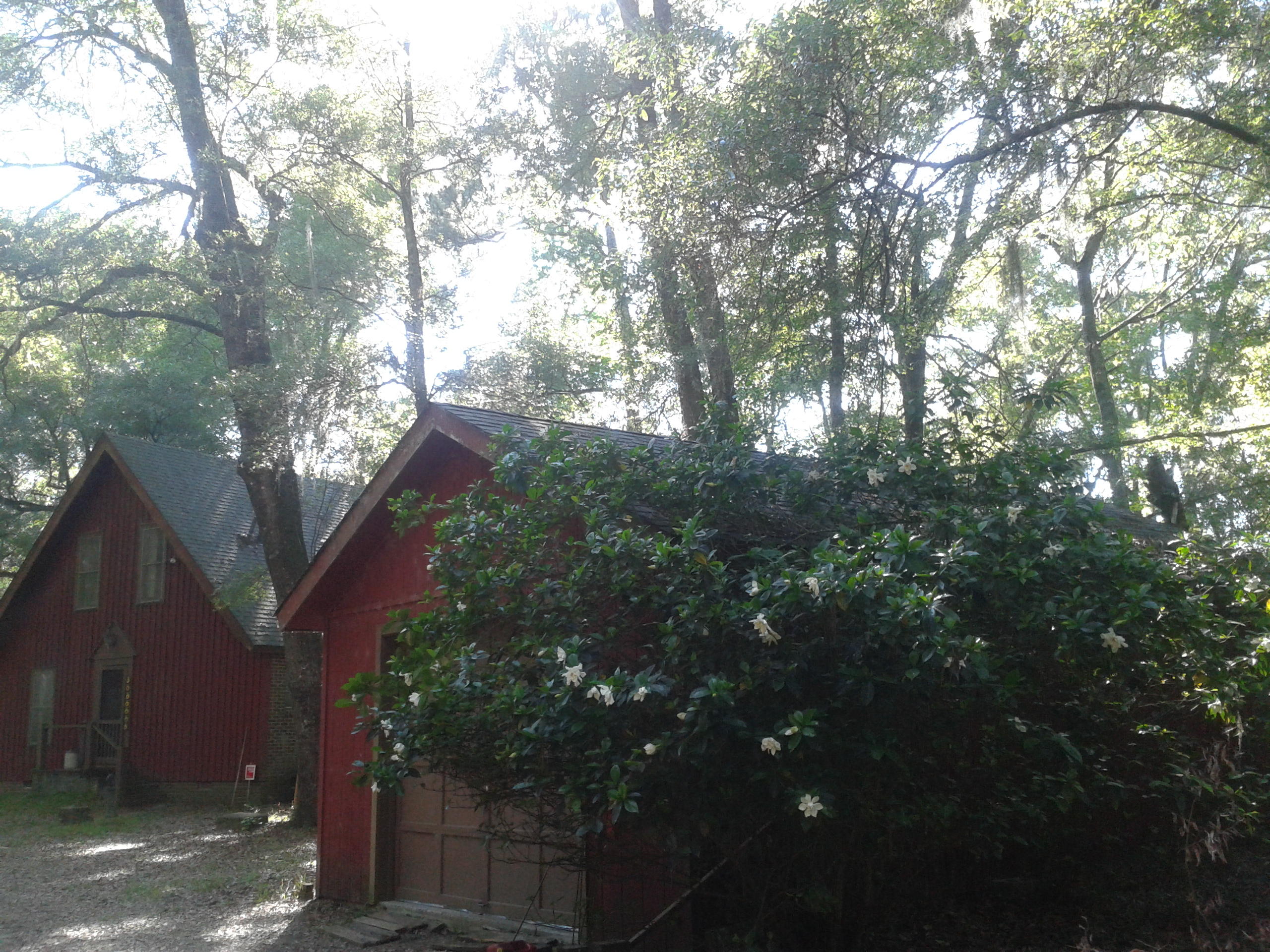 3108 Bohicket Road Johns Island, SC 29455 - Photo 5 of 13 Detached 1.5 car garage