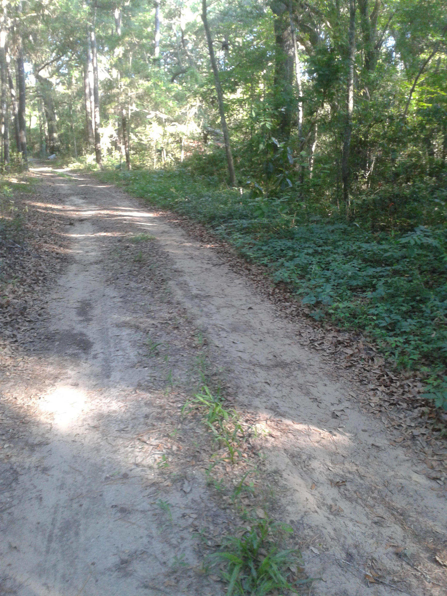 3108 Bohicket Road Johns Island, SC 29455 - Photo 6 of 13 Entrance