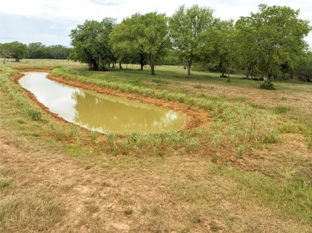 a view of a yard with a trees