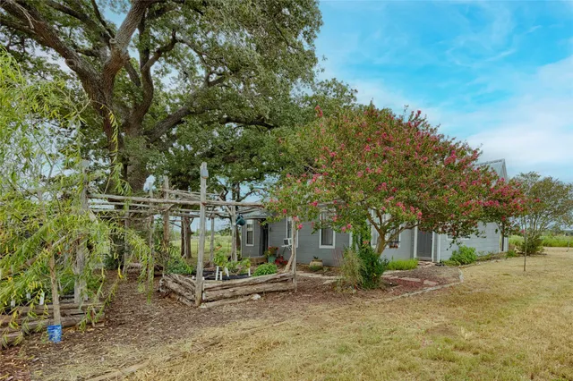 a view of a park with plants and trees