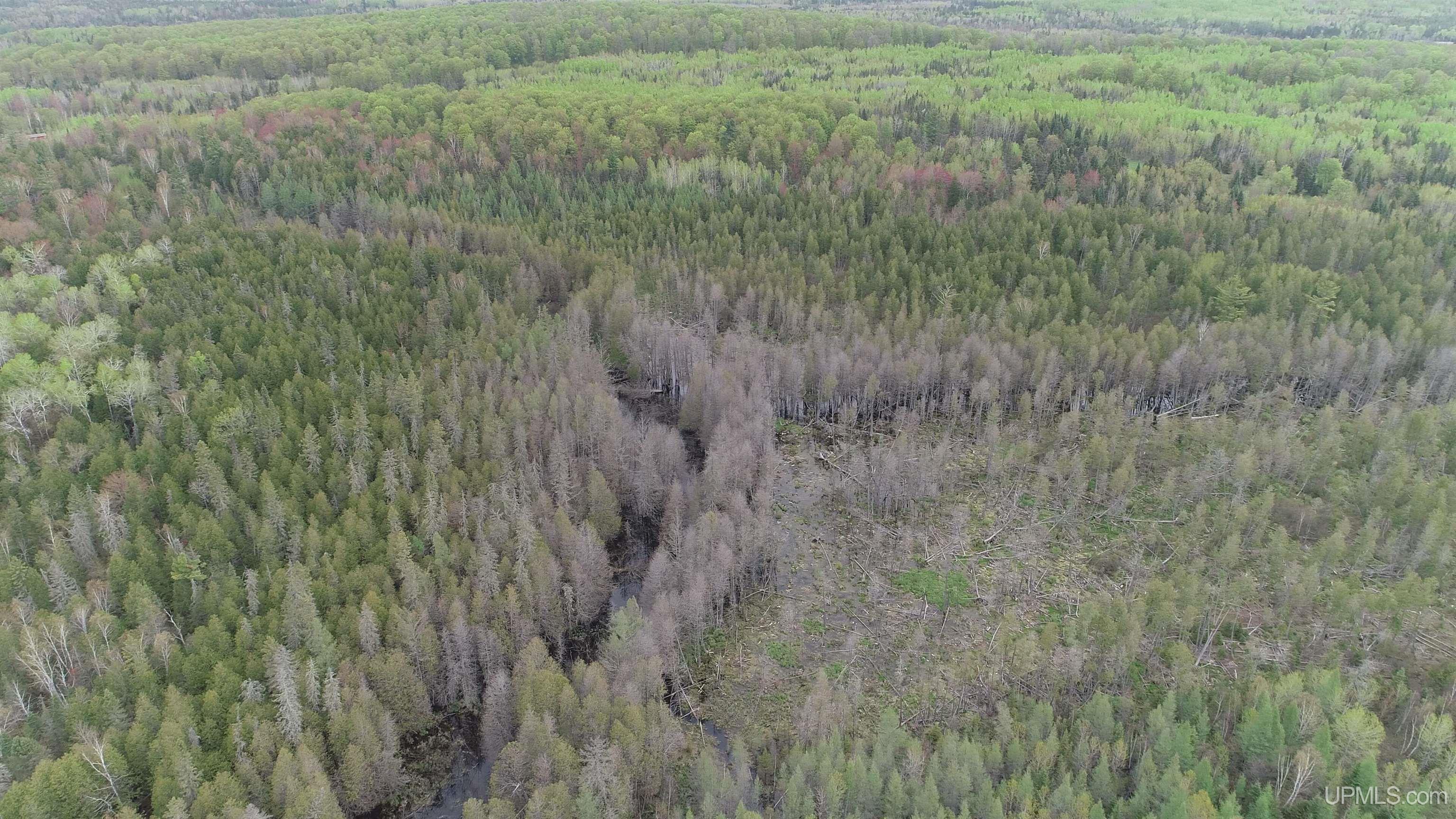 9 Rd Foster City Mi 49834 Road Felch, MI 49831 - Photo 16 of 32
