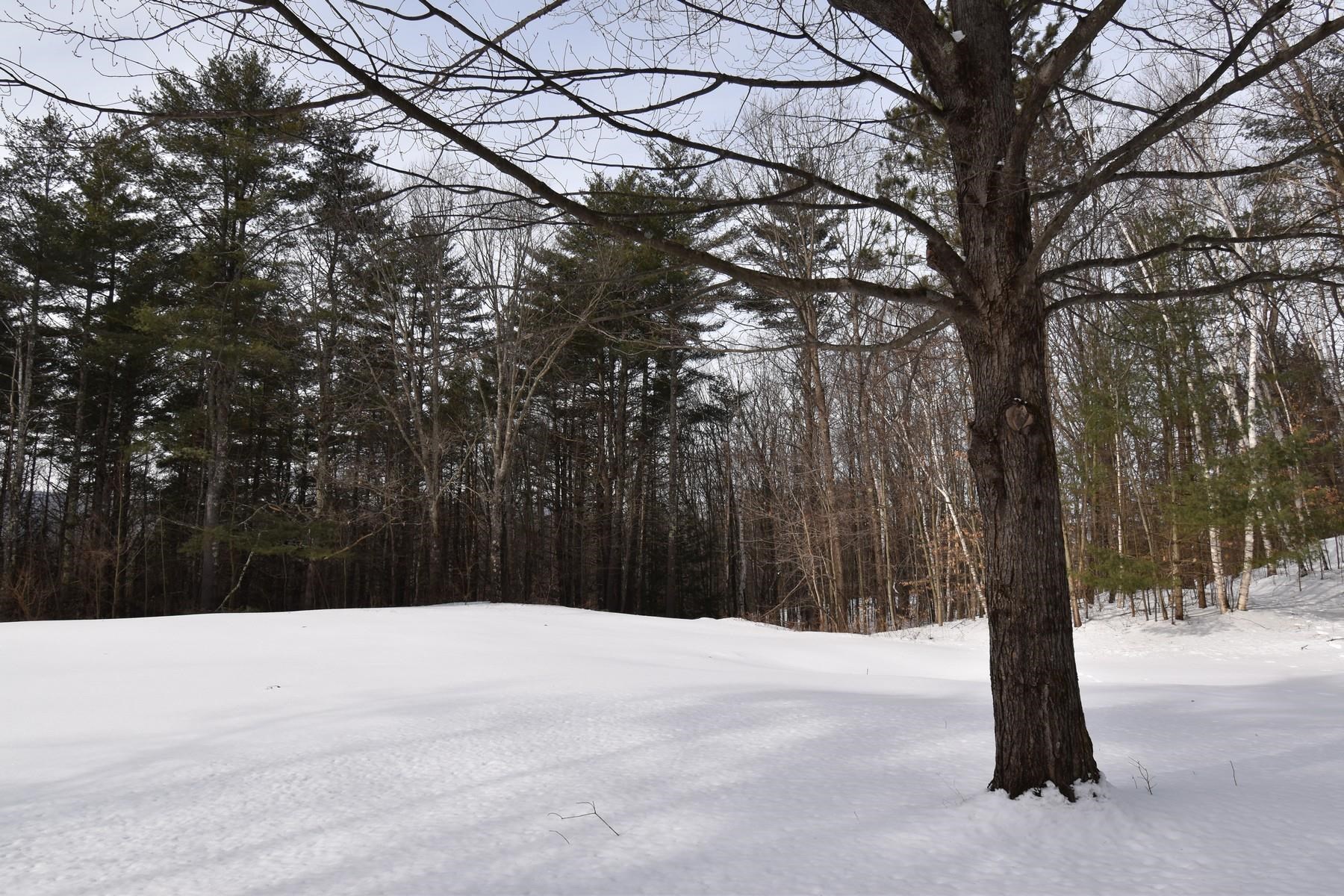 1908 East Clarendon Road Clarendon, VT 05759 - Photo 34 of 40 Gallery Image 34