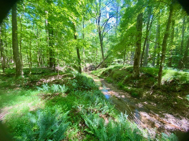 0 Pete Johnson Road Tignall, GA 30668 - Photo 35 of 43