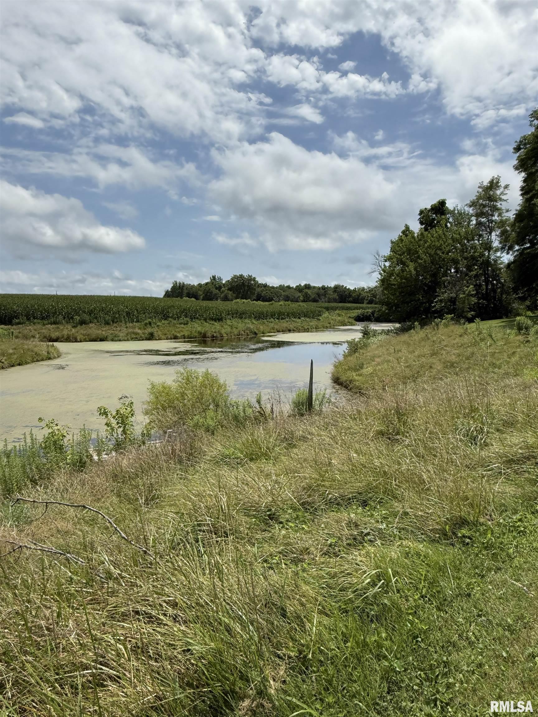 8323 East Briney Road Ipava, IL 61441 - Photo 70 of 72