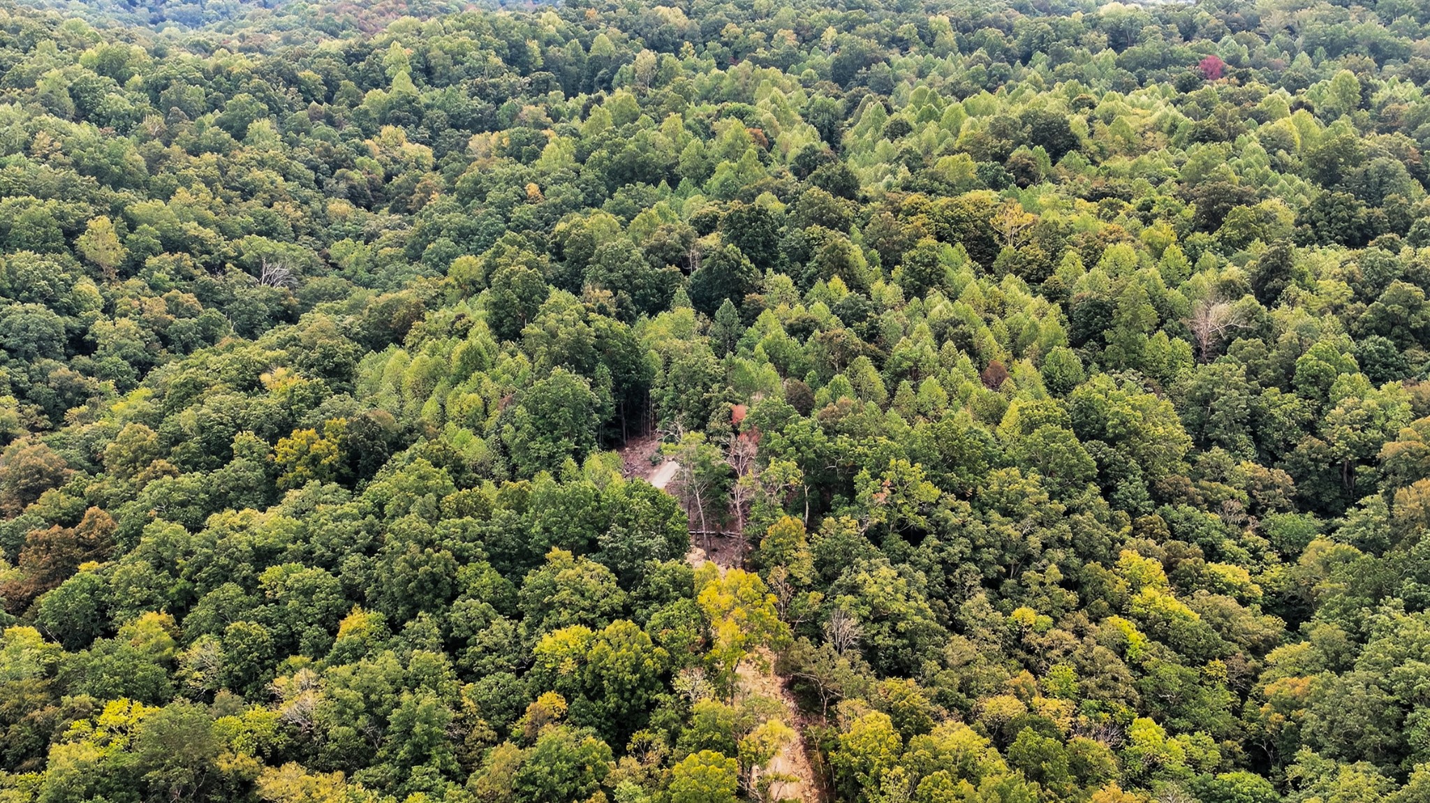 2480 Clay Lick Road Whites Creek, TN 37189 - Photo 17 of 39