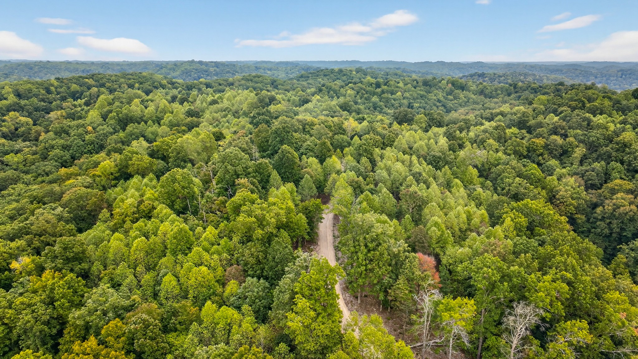 2480 Clay Lick Road Whites Creek, TN 37189 - Photo 23 of 39