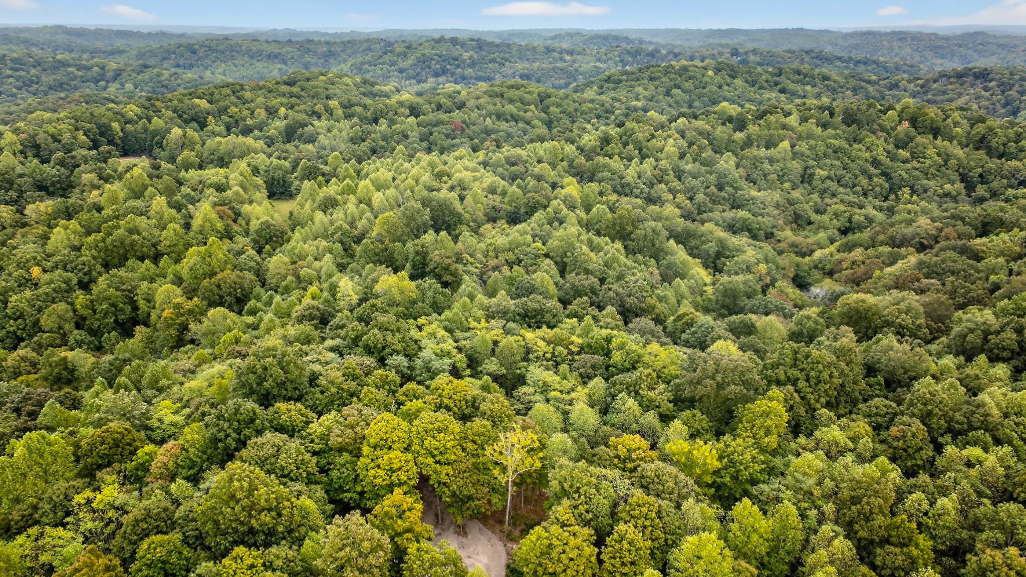 2480 Clay Lick Road Whites Creek, TN 37189 - Photo 25 of 39