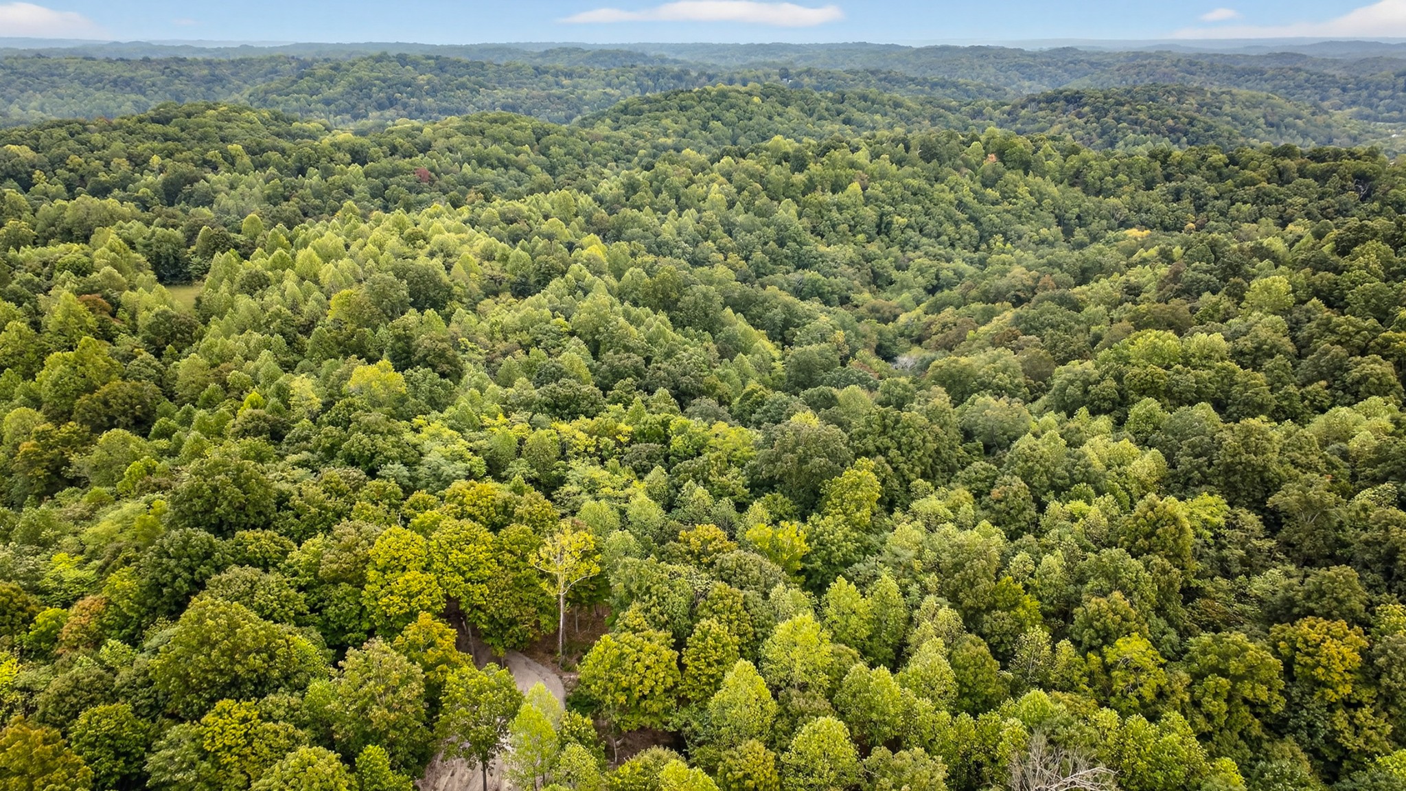 2480 Clay Lick Road Whites Creek, TN 37189 - Photo 26 of 39