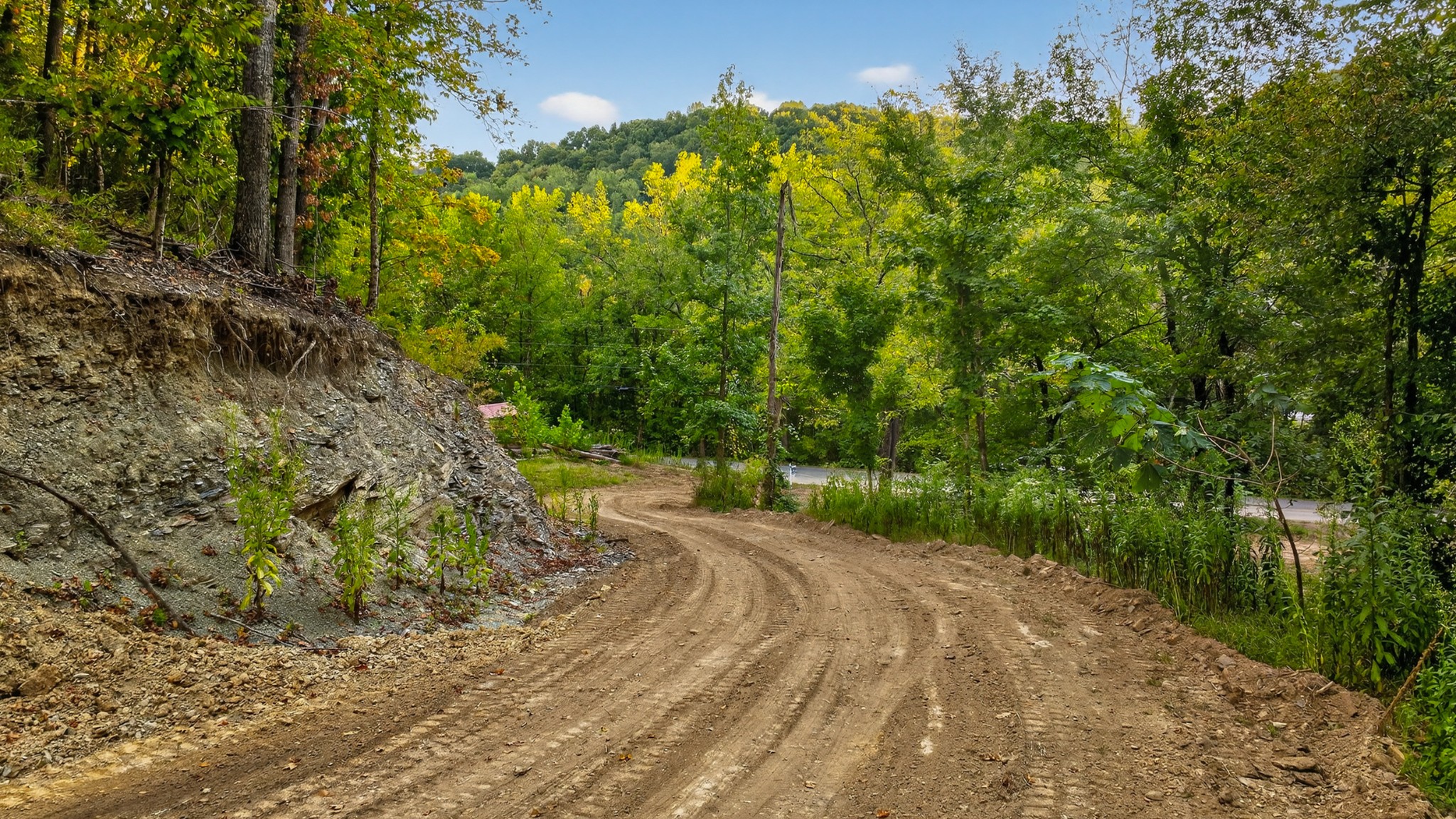 2480 Clay Lick Road Whites Creek, TN 37189 - Photo 32 of 39