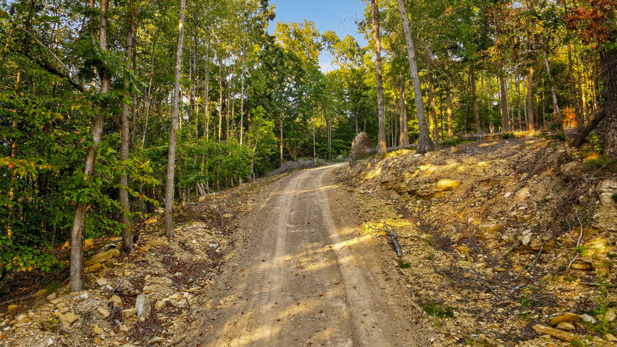 2480 Clay Lick Road Whites Creek, TN 37189 - Photo 36 of 39