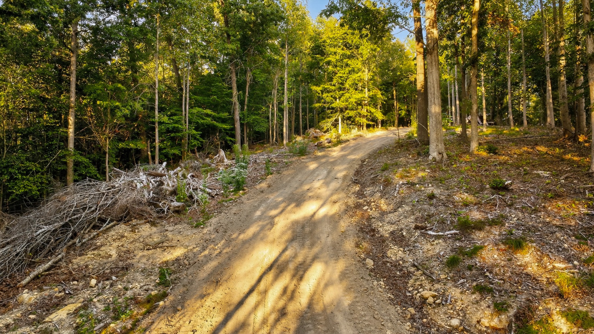 2480 Clay Lick Road Whites Creek, TN 37189 - Photo 37 of 39