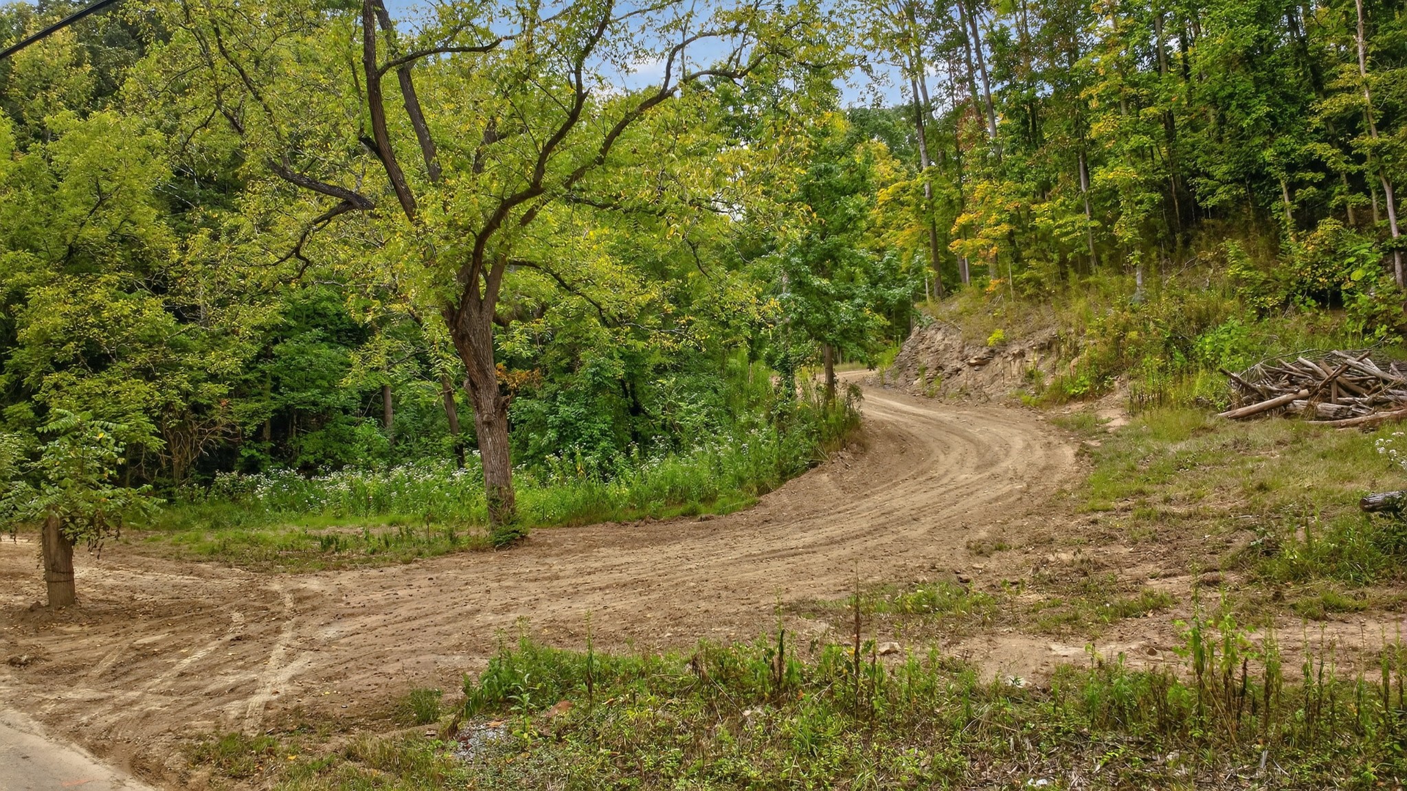 2480 Clay Lick Road Whites Creek, TN 37189 - Photo 4 of 39