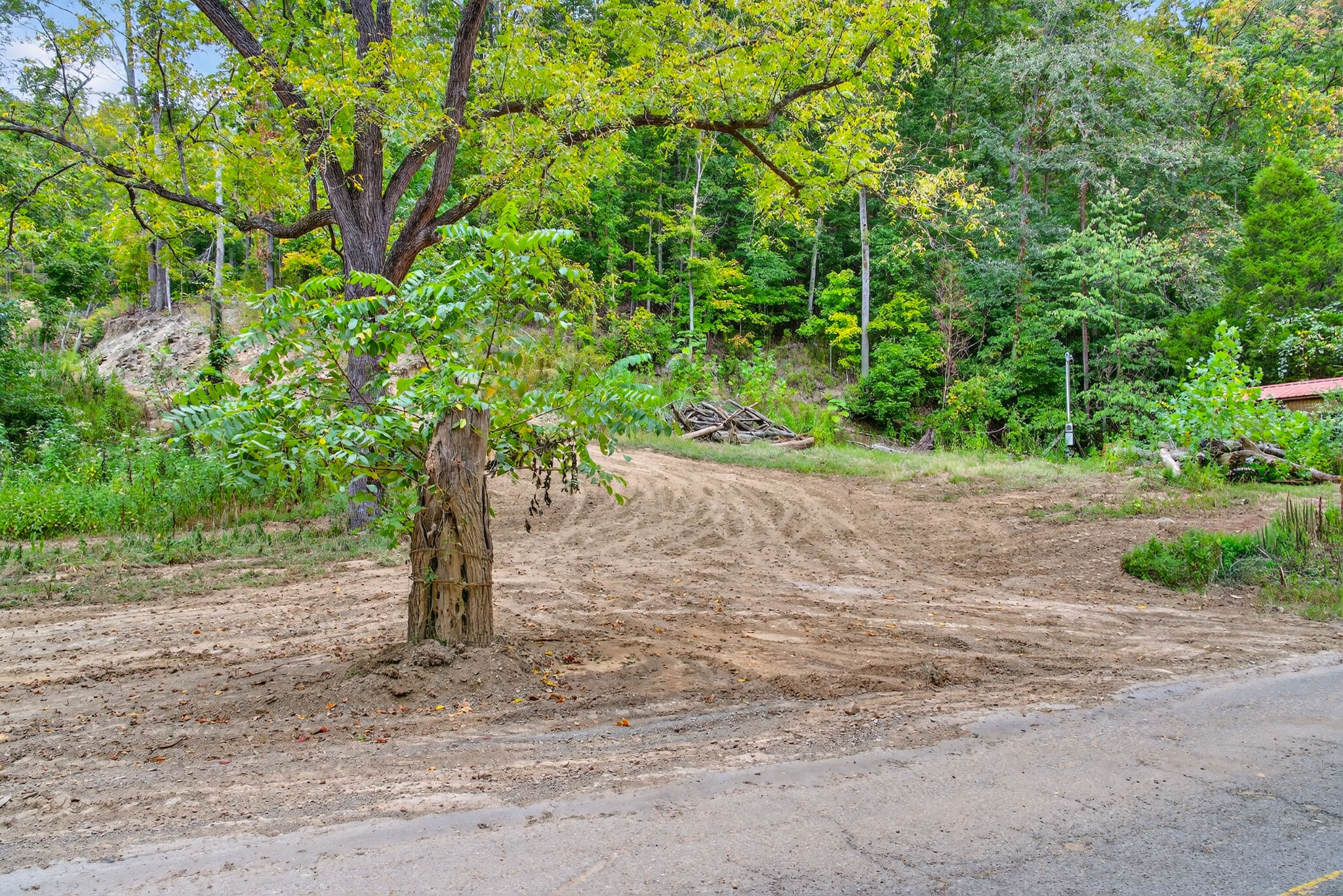 2480 Clay Lick Road Whites Creek, TN 37189 - Photo 5 of 39