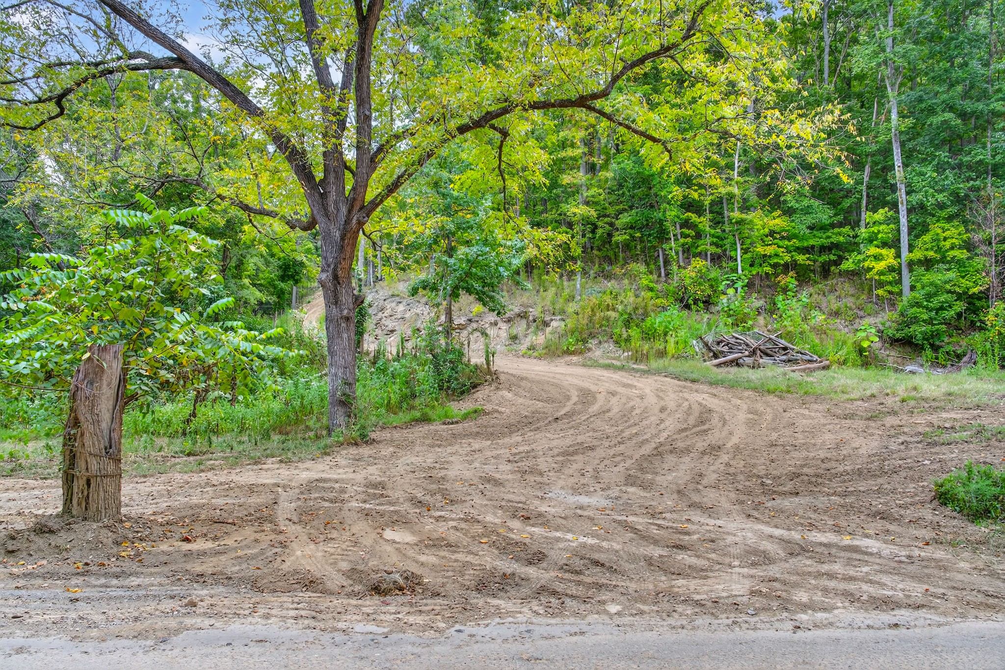 2480 Clay Lick Road Whites Creek, TN 37189 - Photo 6 of 39