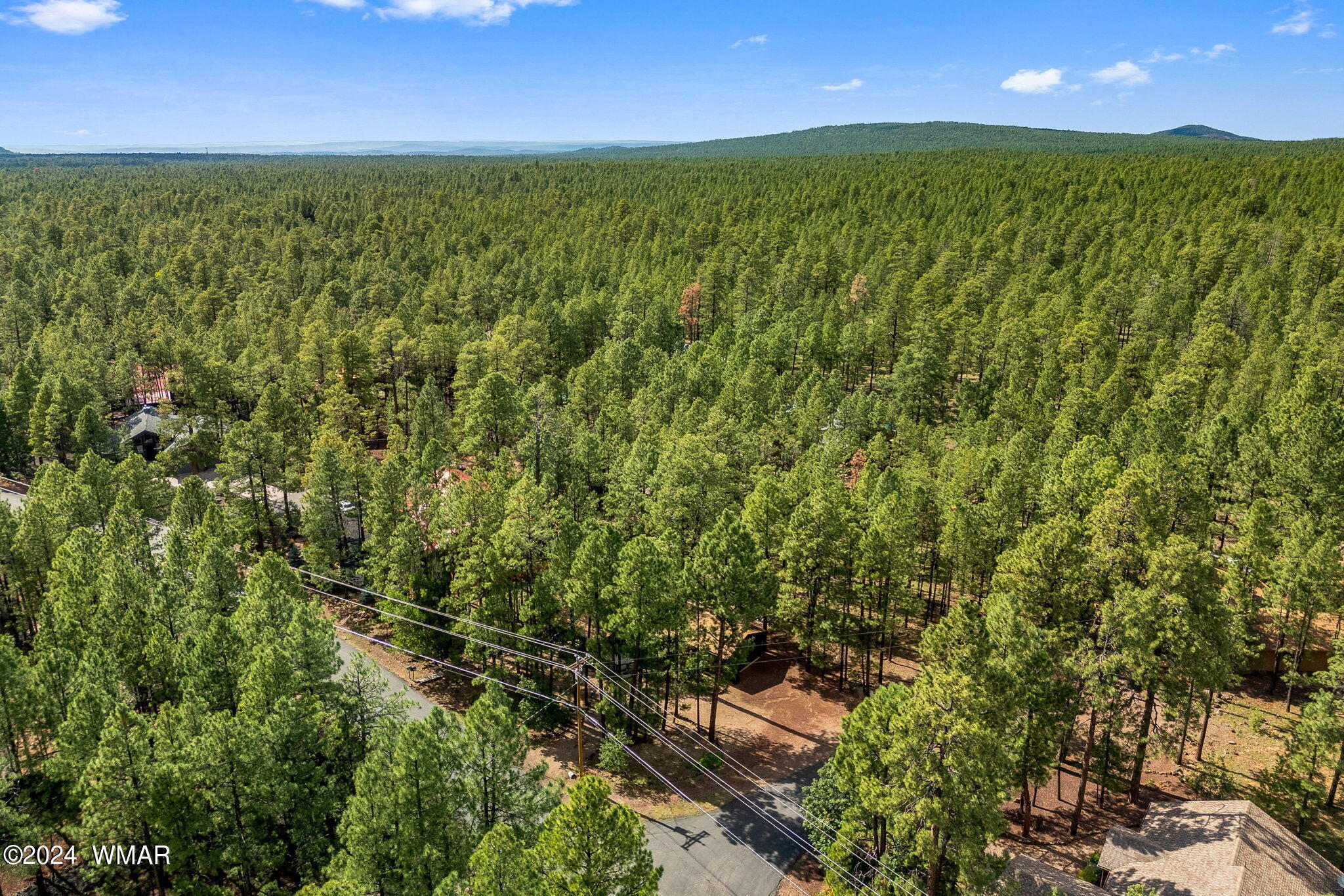 8224 Buck Springs Road Pinetop, AZ 85935 - Photo 23 of 24 23
