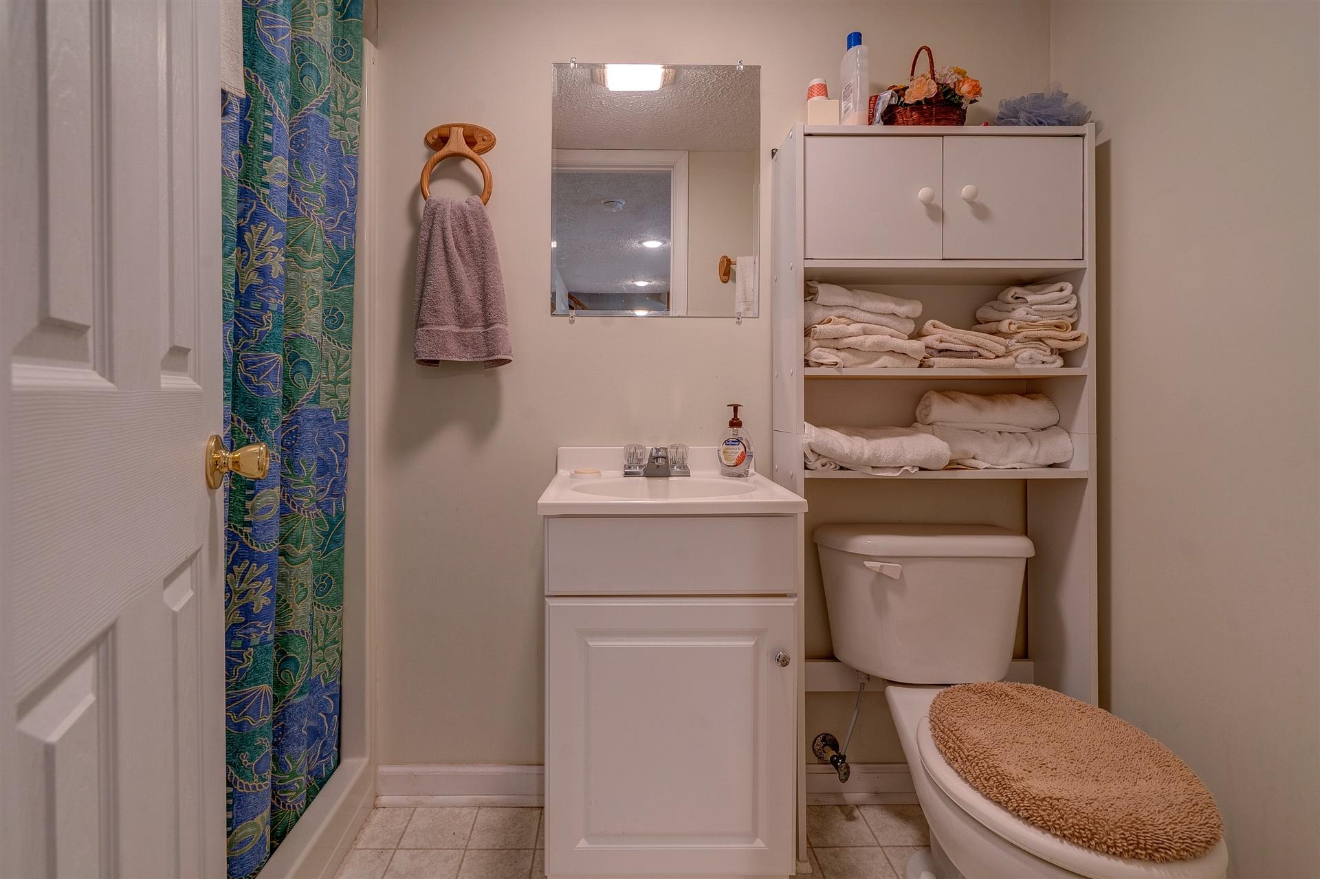 5756 White House Road Moneta, VA 24121 - Photo 24 of 35 a bathroom with a toilet sink and mirror