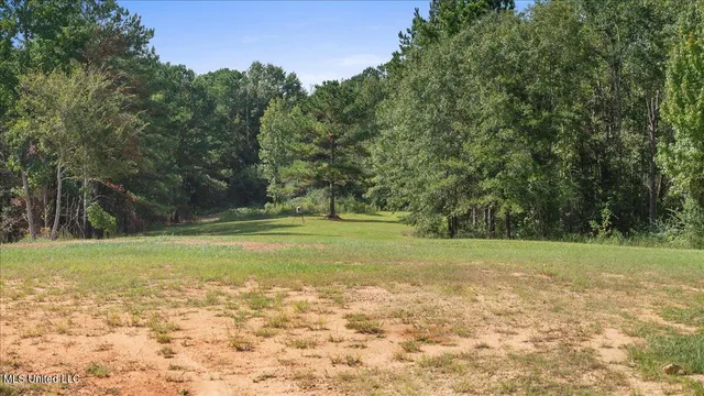 $350,000 | 6767 Highway 13, Morton, MS 39117