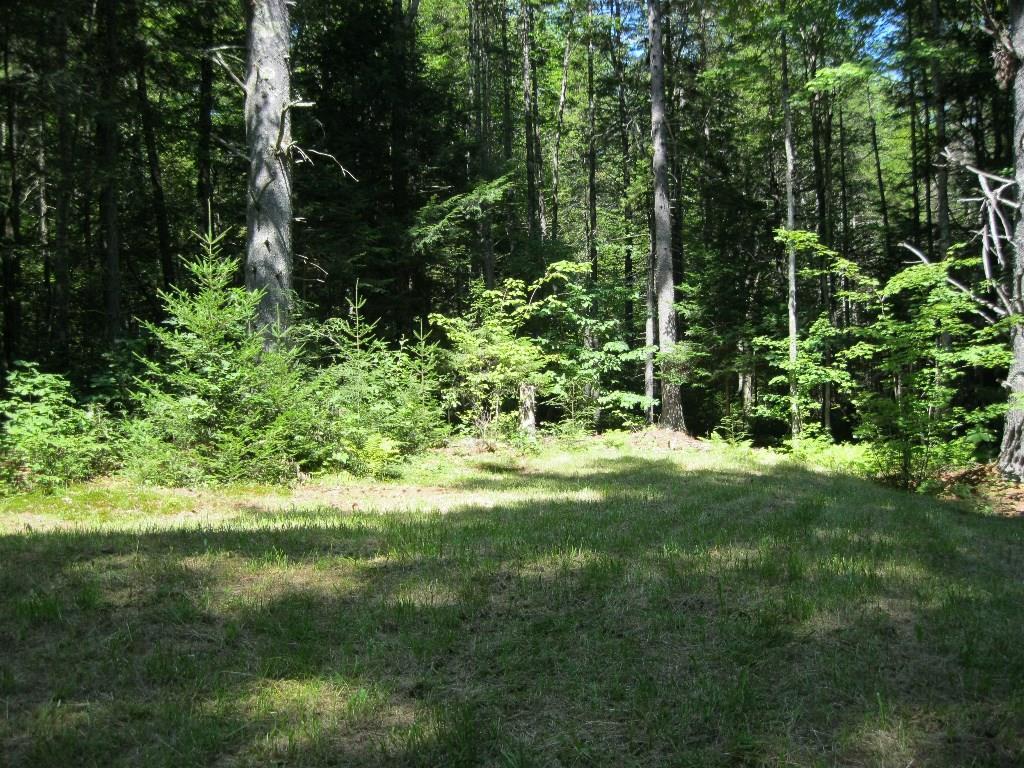 0 Pit Road Lincolnville, ME 04849 - Photo 1 of 1 Photo