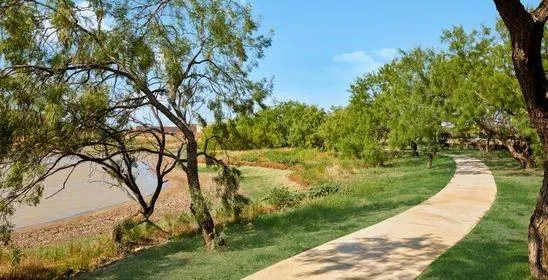 a view of a yard with large trees
