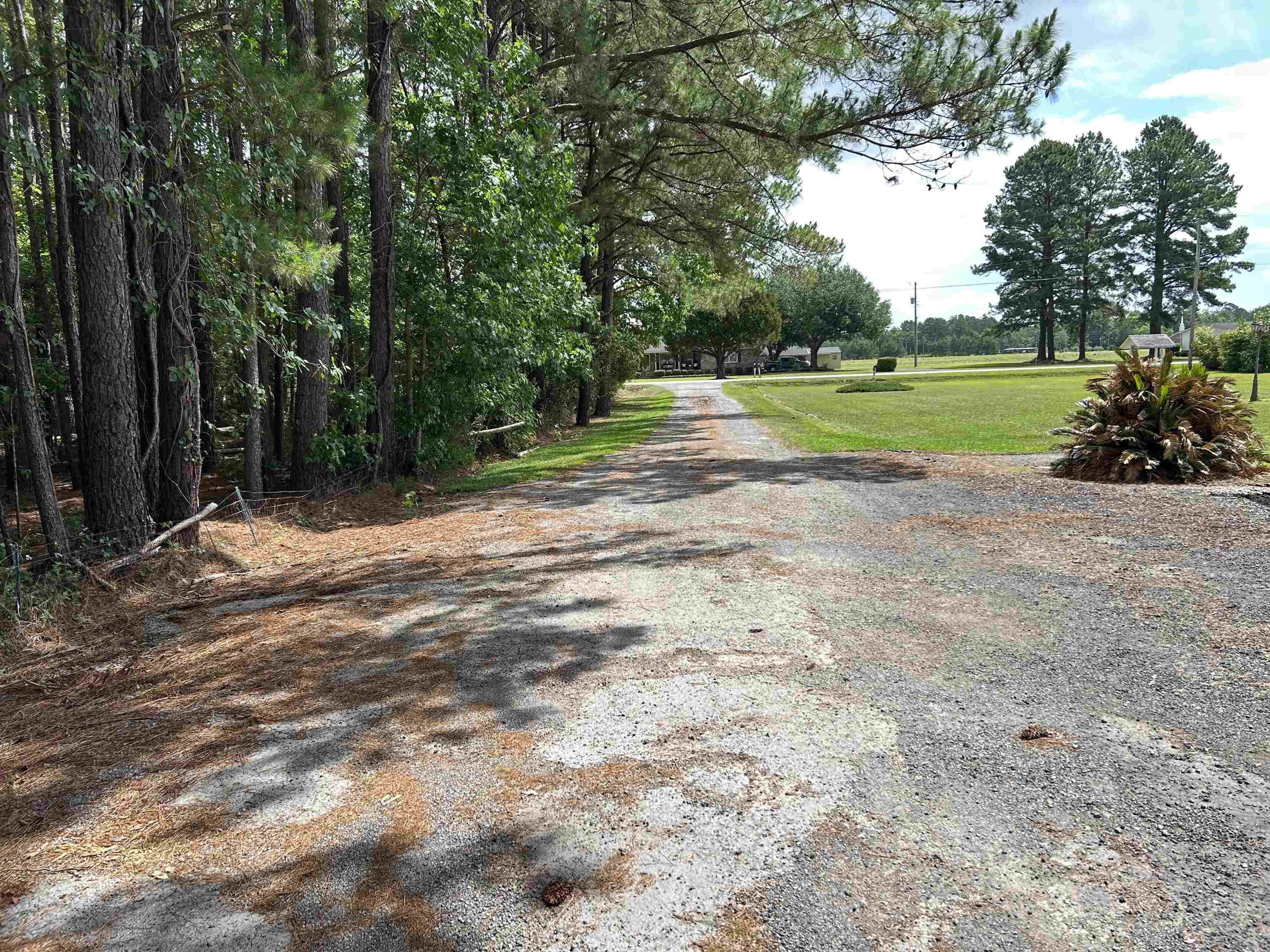 117 Clifton Road Hemingway, SC 29554 - Photo 33 of 39