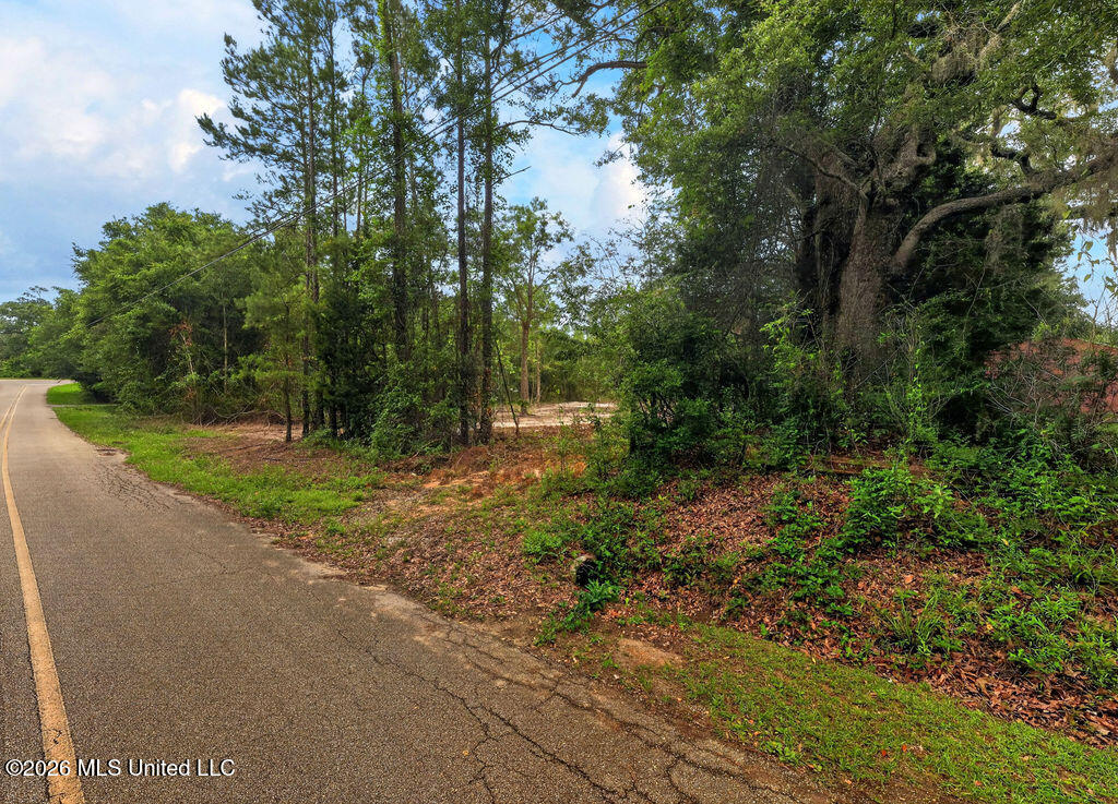 Pavolini Rd Pass Pass Christian, MS 39571 - Photo 4 of 12 PavoliniRd-3