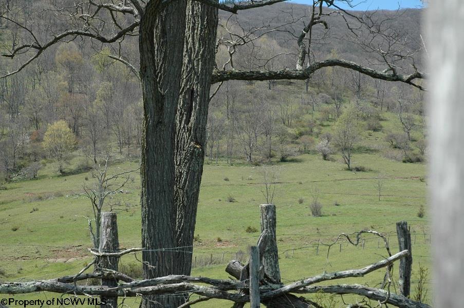 8239 Co Rte 5/2 Seneca Rocks, WV 26884 - Photo 6 of 17 Gallery Image 6